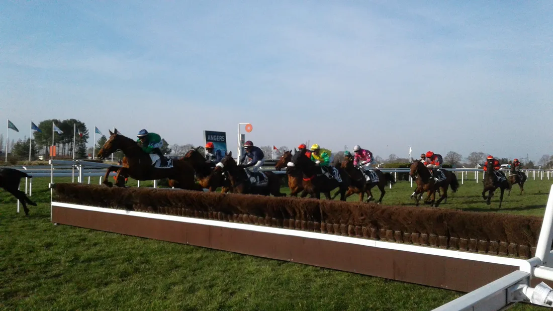 Hippodrome Angers-Obstacle